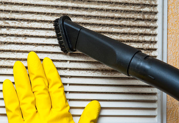 Best Air Duct Mold Removal  in Jan Phyl Village, FL